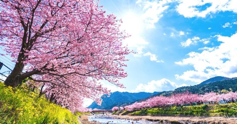 🐴 노마 말 고원(노마우마 하이랜드) 이미지 8